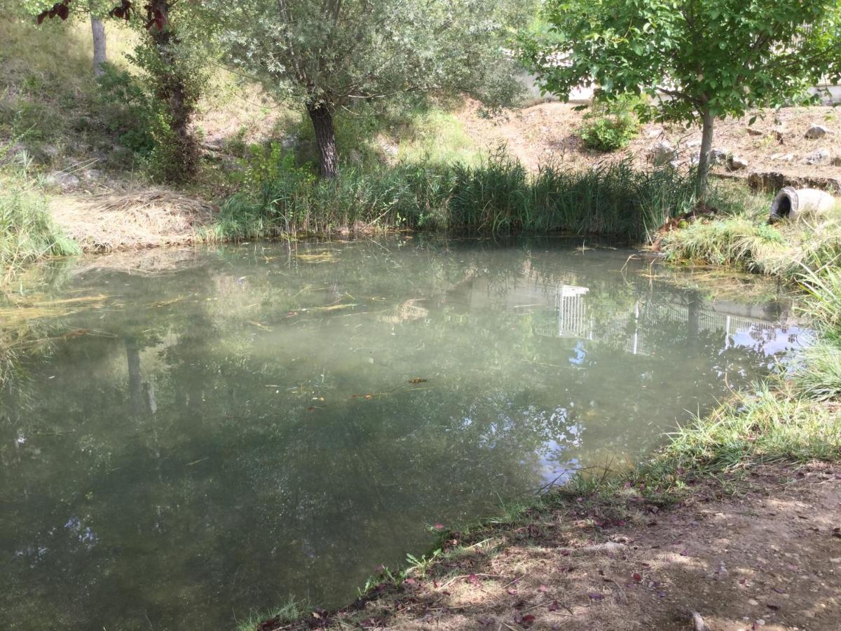 Mazet Tournesol Aux Portes Du Verdon Saint-Martin-de-Brômes Екстериор снимка
